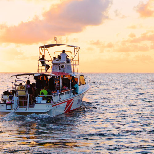 Sunbreeze Suites Fishing Tour