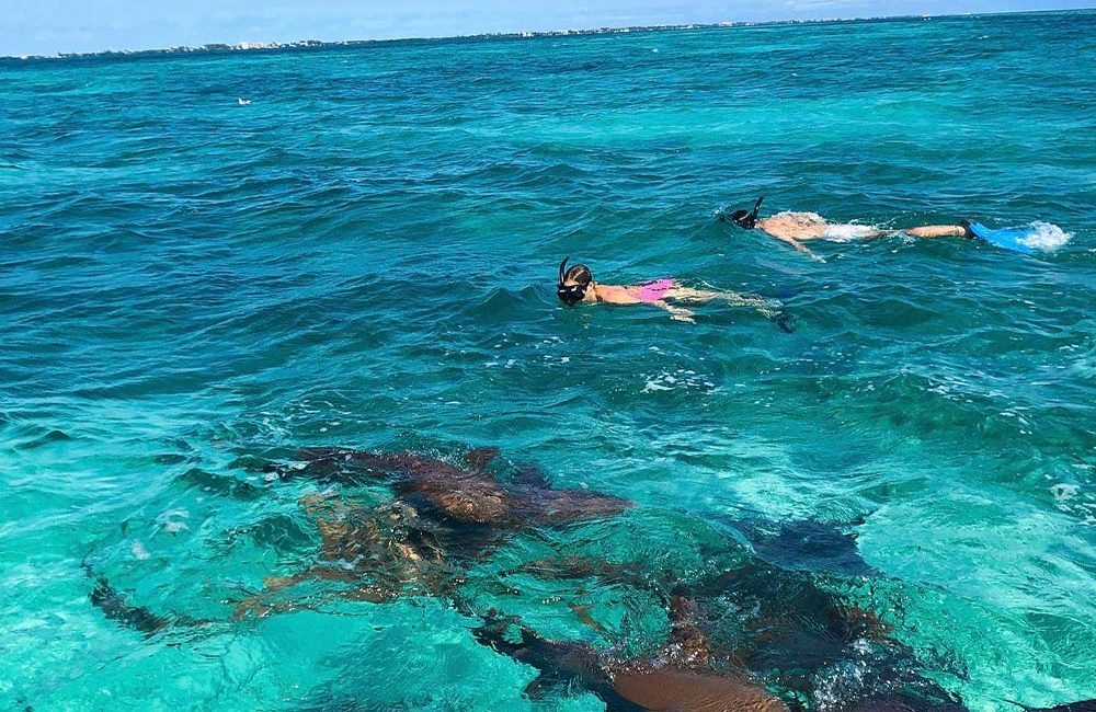 San Pedro Belize Snorkeling Tours