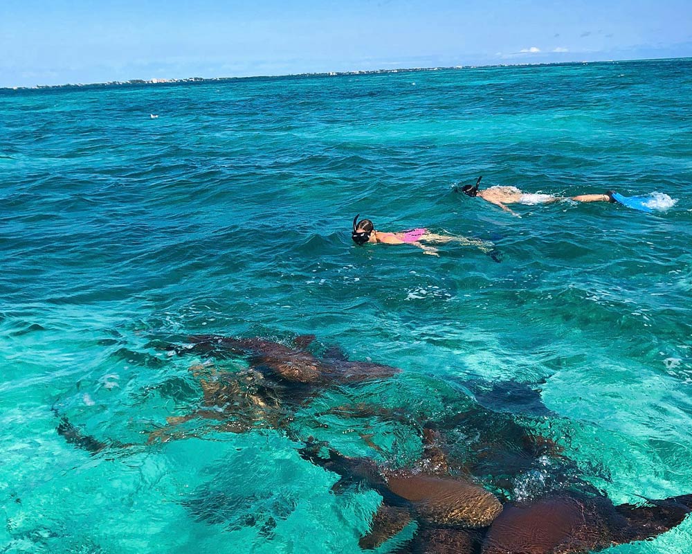 San Pedro Belize Snorkeling Tours