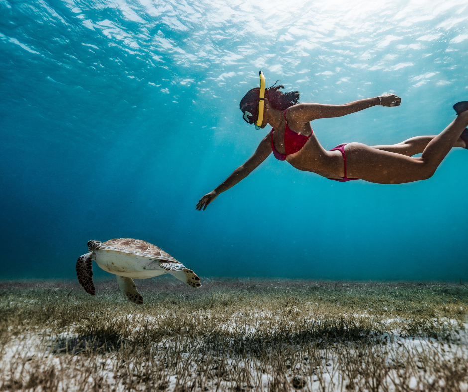 Snrokel-belize-barrier-reef-