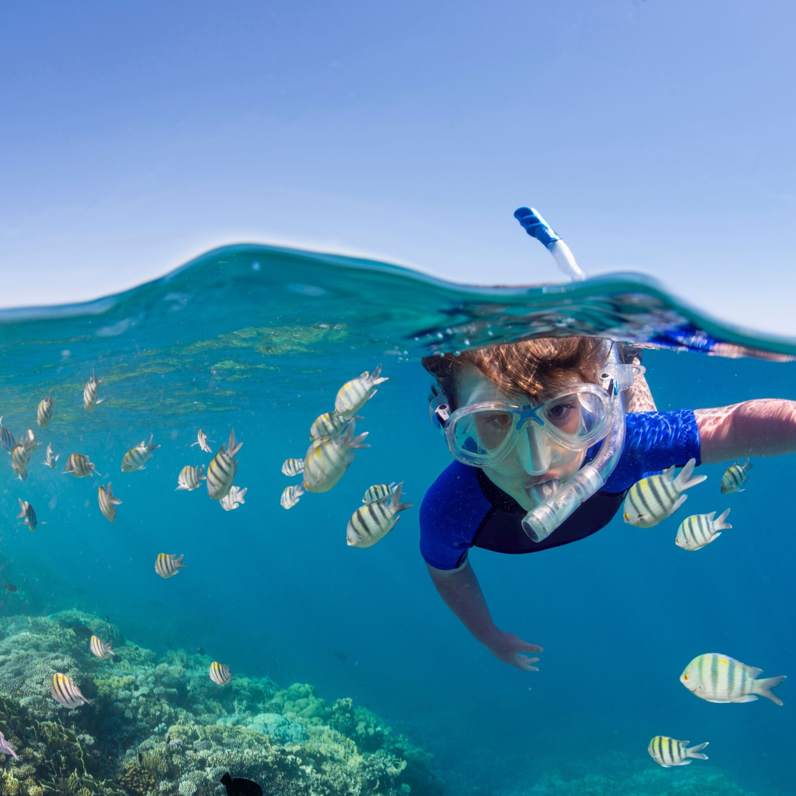 snorkel family holiday belize