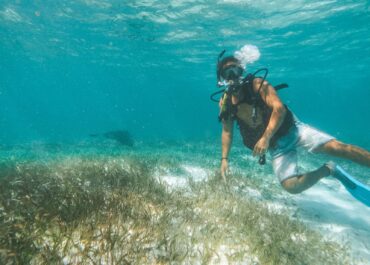 Belize Diving Bucket List: 3 Must-Do Scuba Dives for 2023