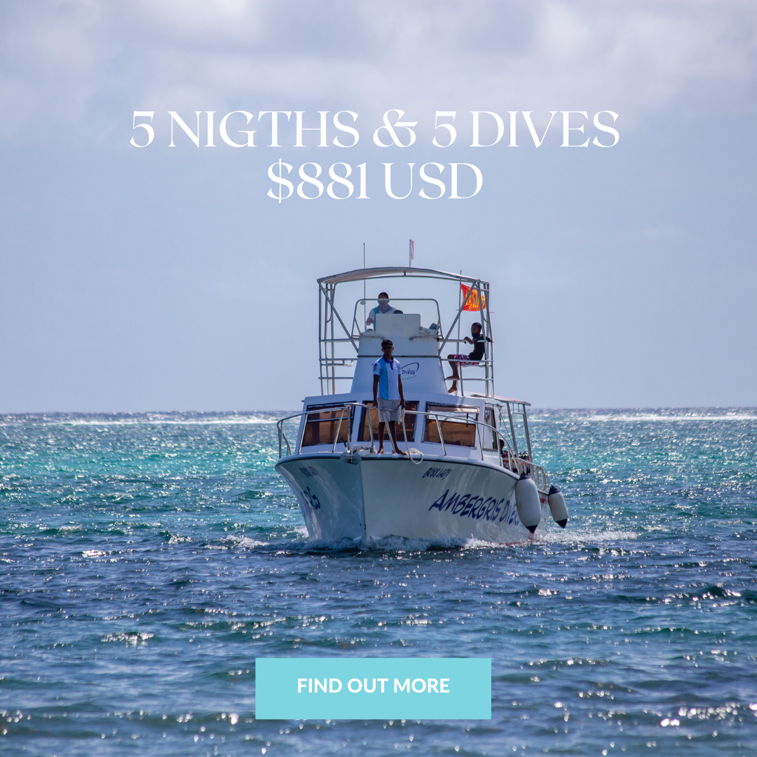 sunbreeze BELIZE DEAL13