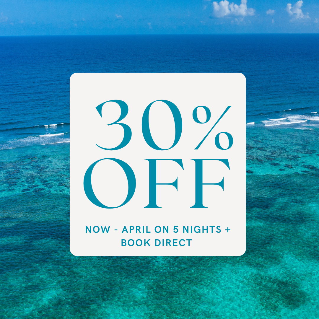 belize travel deal belize travel deal