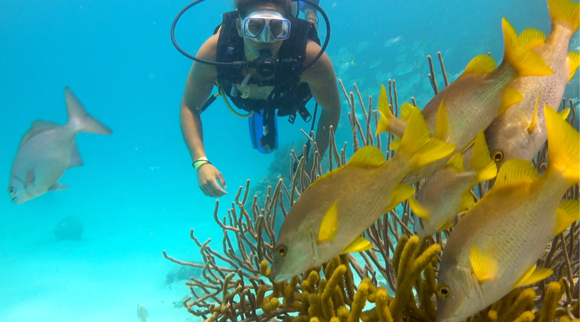 diving in belize Ambergris Caye