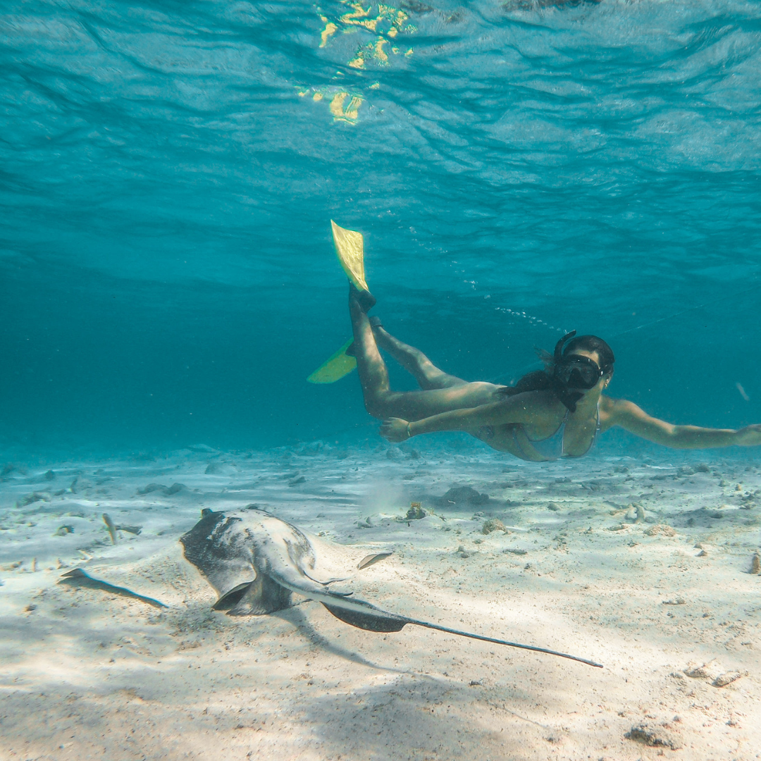 snorkleing belize