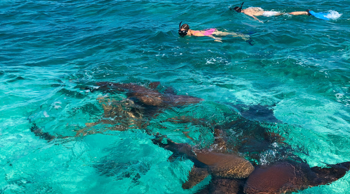 snorkel belize