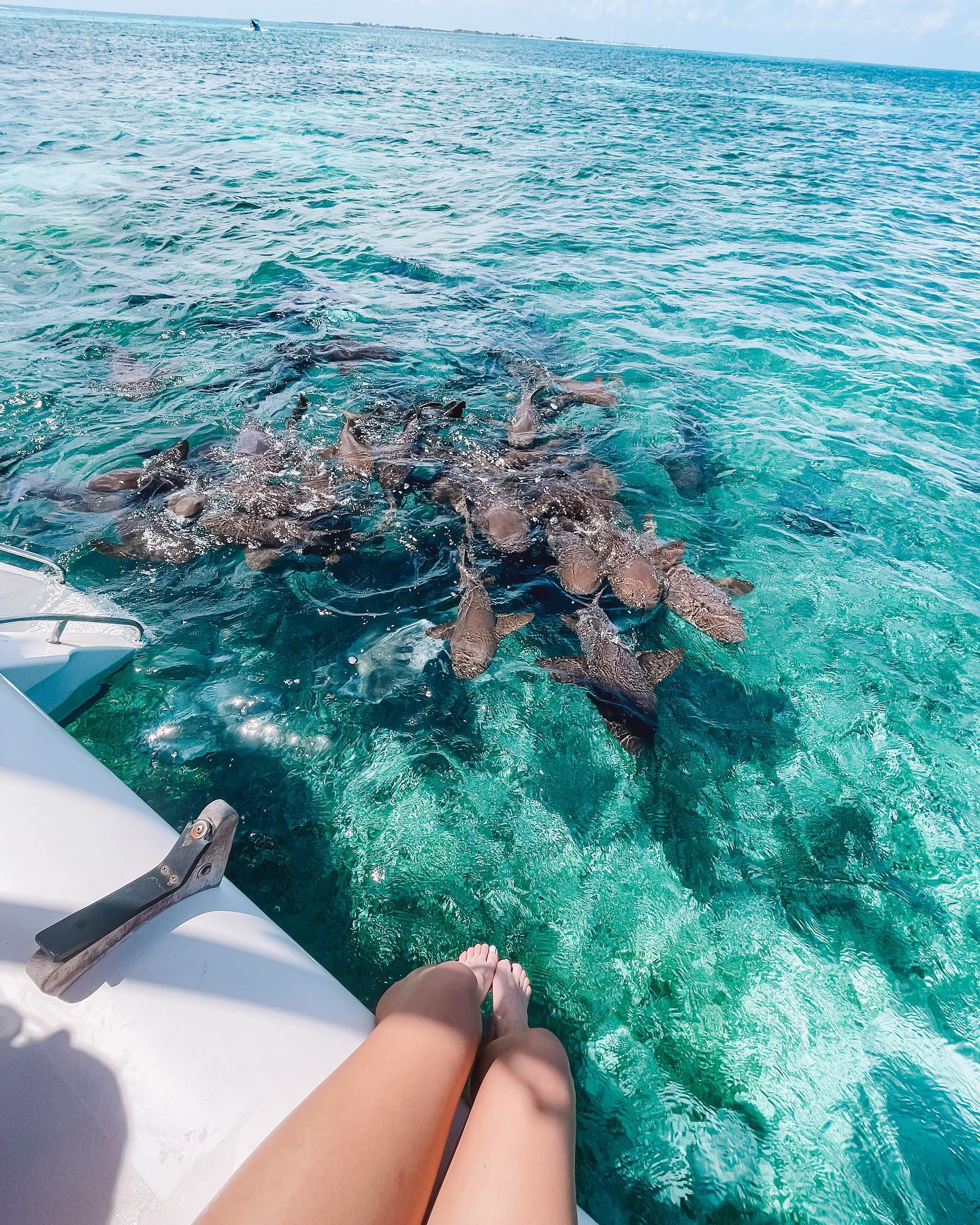 Family enjoying the beachfront and turquoise Caribbean Sea at SunBreeze Suites resort, San Pedro Ambergris Caye Belize