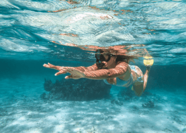 Snorkeling Off the Beach in San Pedro, Ambergris Caye : Things to Know