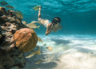Top Tours and Must-do's from Ambergris Caye, Belize