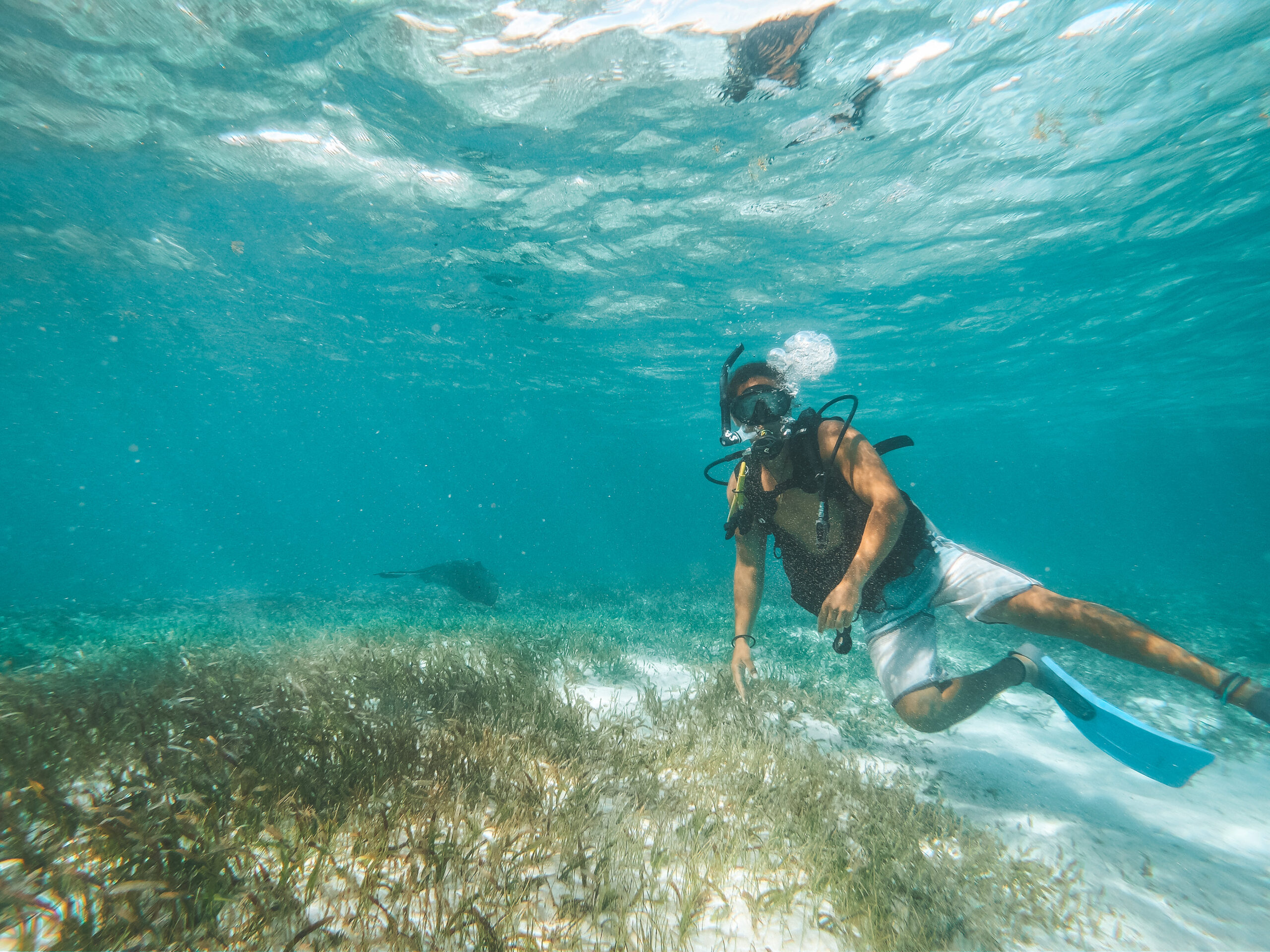 Dive Ambergris Caye from SunBreeze — Best snorkeling spots near San Pedro Belize