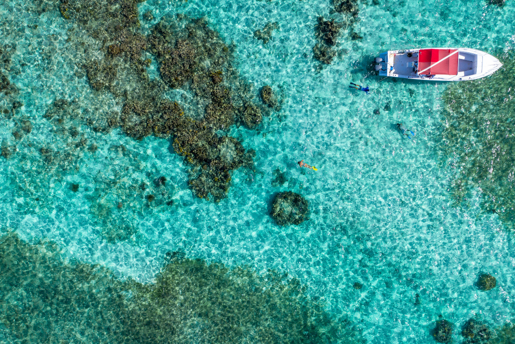 Snorkel Ambergris Caye — Best snorkeling spots near San Pedro Belize