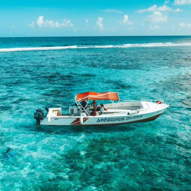 The blue as far as the eye can see. Your snorkel adventure under the sun awaits. ☀️